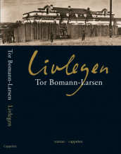 The Court Physician av Tor Bomann-Larsen (Innbundet)