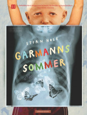 Garmann's Summer av Stian Hole (Innbundet)