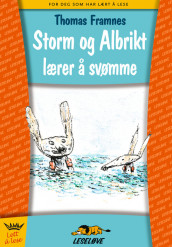 Storm and Albrikt learn to swim av Thomas Framnes (Innbundet)
