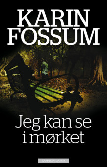 Jeg kan se i mørket av Karin Fossum (Innbundet)