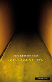 Through the Night av Stig Sæterbakken (Innbundet)