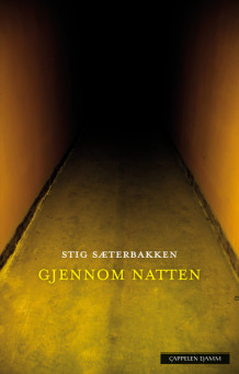 Gjennom natten av Stig Sæterbakken (Innbundet)