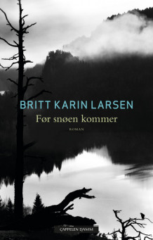 Før snøen kommer av Britt Karin Larsen (Innbundet)