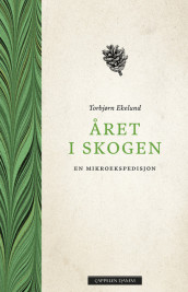 A Year in the Woods av Torbjørn Ekelund (Innbundet)