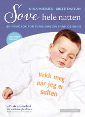 Sleep All Night Long av Nina Misvær (Innbundet)