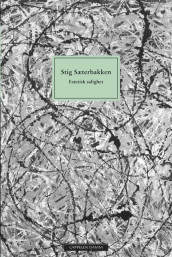 Aestethic Bliss av Stig Sæterbakken (Heftet)