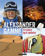 12 Adventures and one Ghost av Aleksander Gamme (Innbundet)