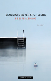 In the Best Sense av Benedicte Meyer Kroneberg (Innbundet)