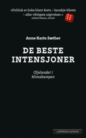 The Best of Intentions av Anne Karin Sæther (Innbundet)