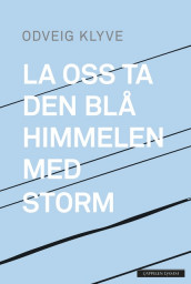 Let Us take the Blue Skies by Storm av Odveig Klyve (Innbundet)