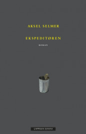 The Salesperson av Aksel Selmer (Innbundet)