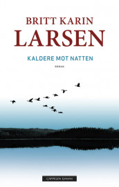 Colder Towards Night av Britt Karin Larsen (Innbundet)