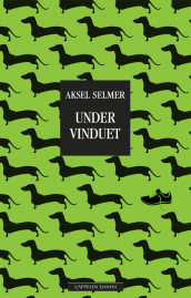 Under the Window av Aksel Selmer (Innbundet)