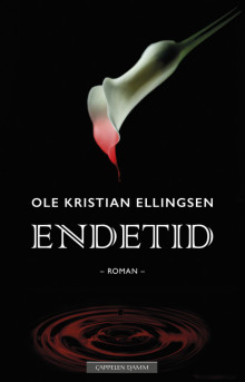 Endetid av Ole Kristian Ellingsen (Innbundet)