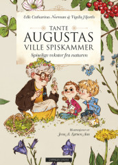 Aunt Augusta’s Pantry av Vigdis Hjorth og Edle Catharina Norman (Innbundet)