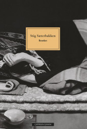 The Visit av Stig Sæterbakken (Heftet)