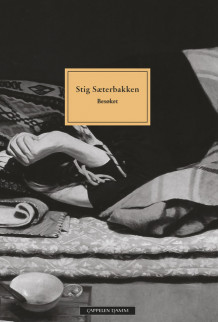 Besøket av Stig Sæterbakken (Heftet)
