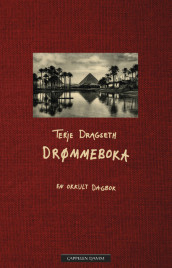THE DREAM BOOK av Terje Dragseth (Innbundet)