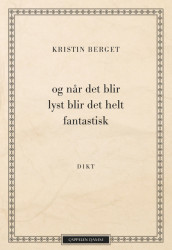 and when there is light, it will be amazing av Kristin Berget (Heftet)