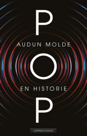 POP av Audun Molde (Innbundet)