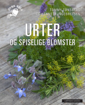 Herbs and edible flowers av Kenneth Ingebretsen og Tommy Tønsberg (Heftet)