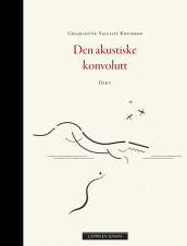 The Acoustic Envelope av Charlotte Louise Vaillot Knudsen (Innbundet)