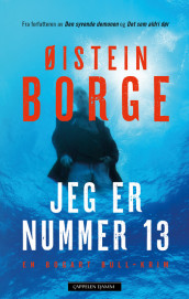 I Am Number 13 av Øistein Borge (Innbundet)