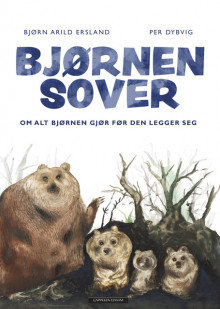 Bjørnen sover av Bjørn Arild Ersland (Innbundet)