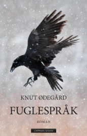 BIRD LANGUAGE av Knut Ødegård (Innbundet)