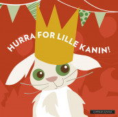 Hooray for Little Rabbit av Blafre (Kartonert)