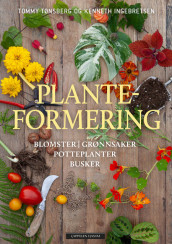 Breeding Plants av Kenneth Ingebretsen og Tommy Tønsberg (Innbundet)