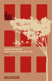 I Think You’d Like Ulrik av Jonas Sundquist (Innbundet)