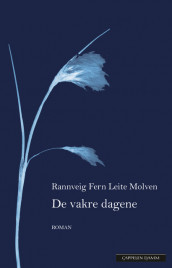 The beautiful days av Rannveig Fern Leite Molven (Innbundet)