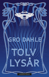 Twelve Light Years av Gro Dahle (Innbundet)