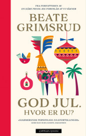 Merry Christmas. Where are You? av Beate Grimsrud (Innbundet)
