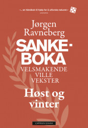 The Foraging Book for Autumn and Winter av Jørgen Ravneberg (Innbundet)