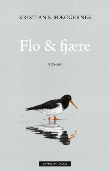 Flo & fjære av Kristian S. Hæggernes (Innbundet)