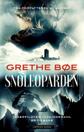 The Snow Leopard av Grethe Bøe (Innbundet)