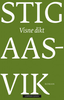 Visne dikt av Stig Aasvik (Innbundet)