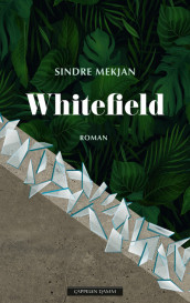 Whitefield av Sindre Mekjan (Innbundet)