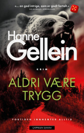 Never Safe Again av Hanne Gellein (Innbundet)