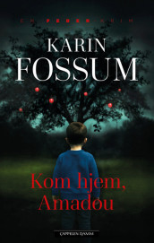 Come Home, Amadou av Karin Fossum (Innbundet)