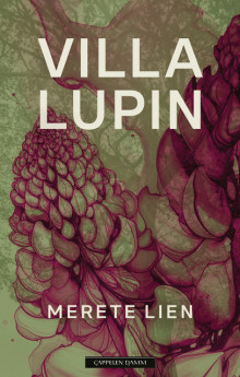 Villa Lupin av Merete Lien (Innbundet)