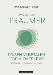 Trauma – The Price We Pay to Survive av Mari Kjølseth Bræin (Innbundet)