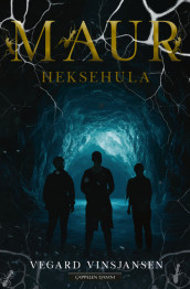 The Witch Cave av Vegard Vinsjansen (Heftet)