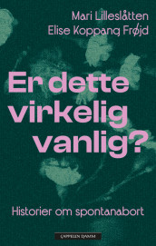 Stories about miscarriages av Elise Koppang Frøjd og Mari Lilleslåtten (Innbundet)