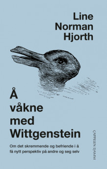 Å våkne med Wittgenstein av Line Norman Hjorth (Innbundet)