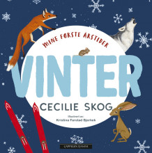 Mine første årstider - Vinter av Cecilie Skog (Kartonert)