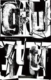 Boy av Eivind Sudmann (Innbundet)