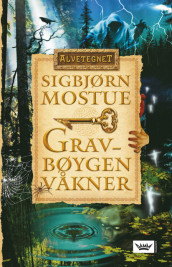 The Sign of the Fairies 1 av Sigbjørn Mostue (Innbundet)